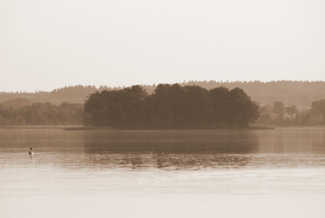 Shrap-Drakers.pl | Shrap Drakers Fishing | Wędkarstwo 