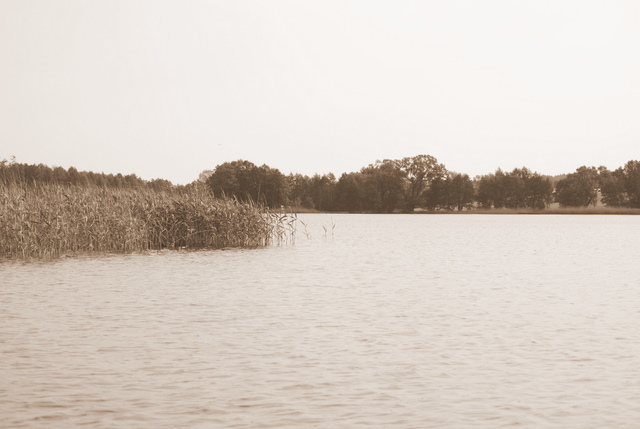 Shrap-Drakers.pl | Shrap Drakers Fishing | Wędkarstwo 