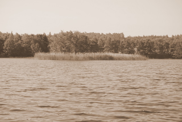 Shrap-Drakers.pl | Shrap Drakers Fishing | Wędkarstwo 