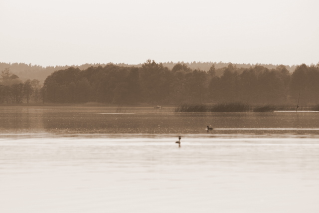 Shrap-Drakers.pl | Shrap Drakers Fishing | Wędkarstwo 