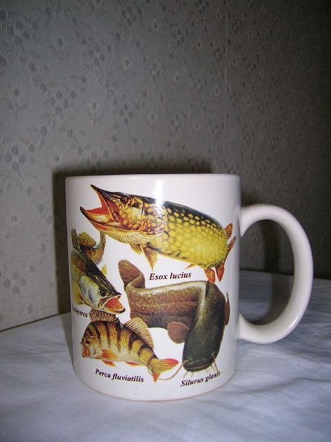 Shrap-Drakers.pl | Shrap Drakers Fishing | Wędkarstwo 