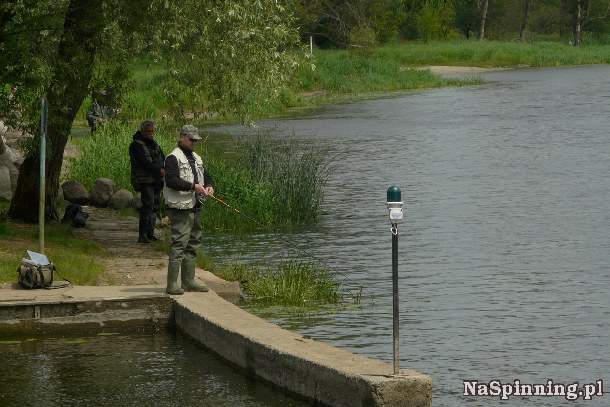 Shrap-Drakers.pl | Shrap Drakers Fishing | Wędkarstwo 