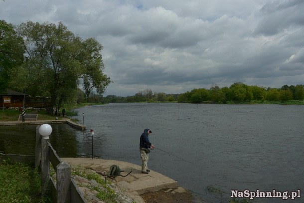 Shrap-Drakers.pl | Shrap Drakers Fishing | Wędkarstwo 