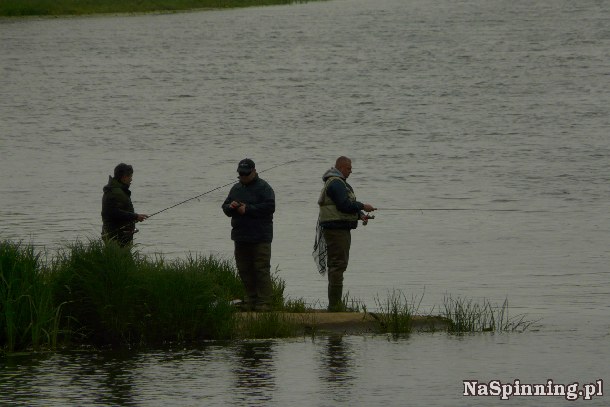 Shrap-Drakers.pl | Shrap Drakers Fishing | Wędkarstwo 