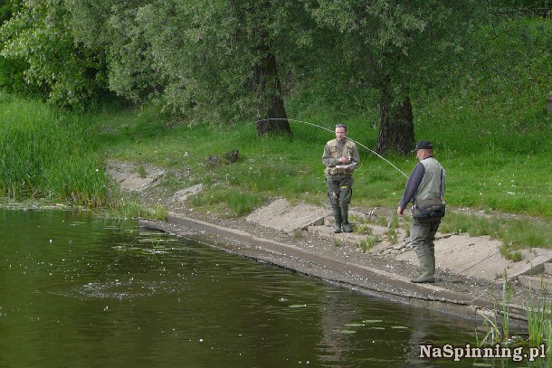 Shrap-Drakers.pl | Shrap Drakers Fishing | Wędkarstwo 
