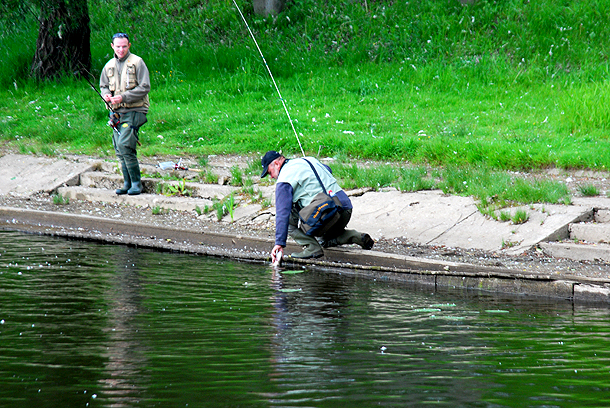 Shrap-Drakers.pl | Shrap Drakers Fishing | Wędkarstwo 
