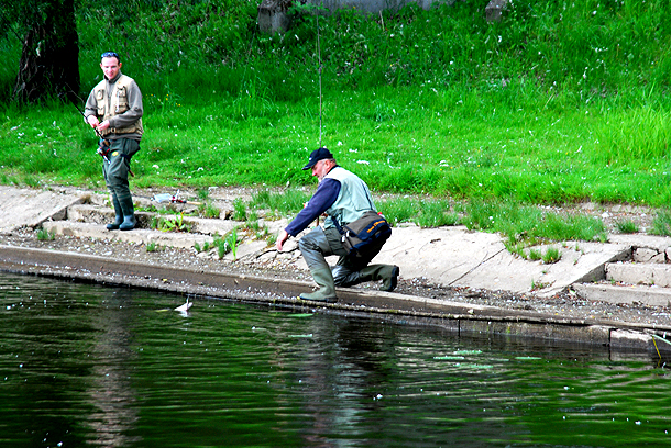 Shrap-Drakers.pl | Shrap Drakers Fishing | Wędkarstwo 