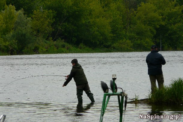 Shrap-Drakers.pl | Shrap Drakers Fishing | Wędkarstwo 
