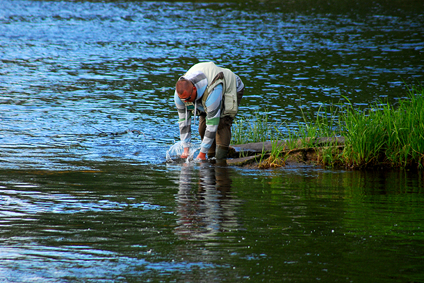 Shrap-Drakers.pl | Shrap Drakers Fishing | Wędkarstwo 