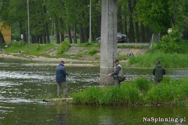 Shrap-Drakers.pl | Shrap Drakers Fishing | Wędkarstwo 