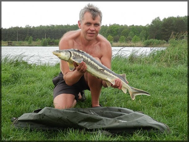 Shrap-Drakers.pl | Shrap Drakers Fishing | Wędkarstwo 