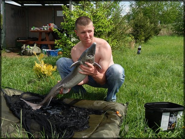 Shrap-Drakers.pl | Shrap Drakers Fishing | Wędkarstwo 