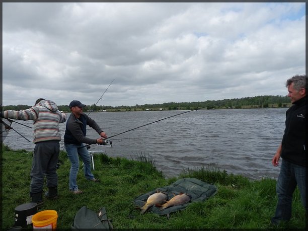 Shrap-Drakers.pl | Shrap Drakers Fishing | Wędkarstwo 