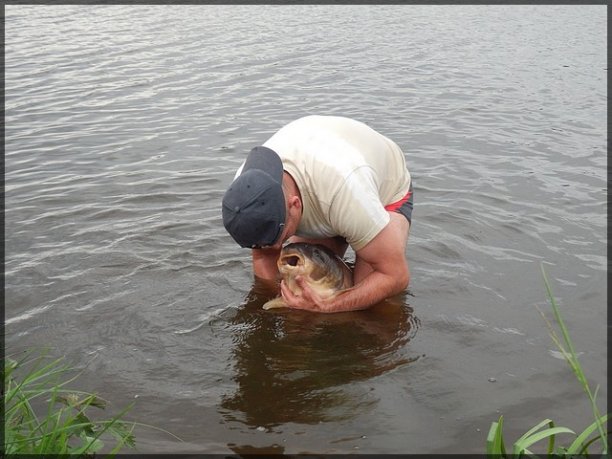 Shrap-Drakers.pl | Shrap Drakers Fishing | Wędkarstwo 