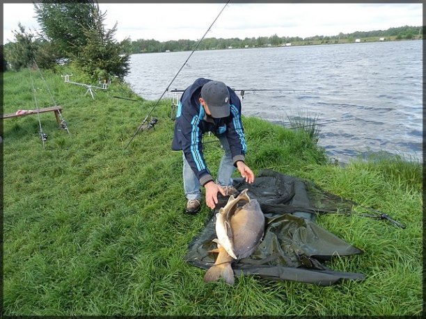 Shrap-Drakers.pl | Shrap Drakers Fishing | Wędkarstwo 