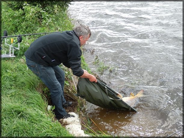 Shrap-Drakers.pl | Shrap Drakers Fishing | Wędkarstwo 