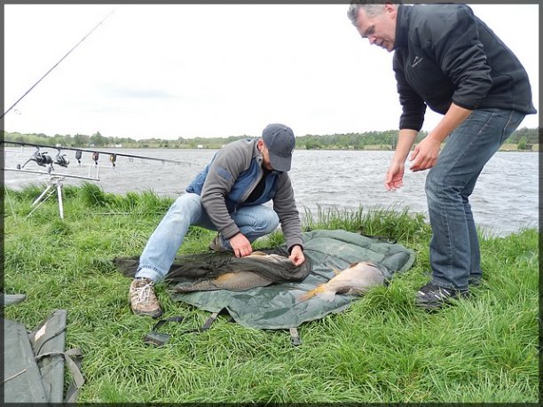 Shrap-Drakers.pl | Shrap Drakers Fishing | Wędkarstwo 