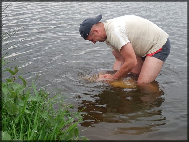 Shrap-Drakers.pl | Shrap Drakers Fishing | Wędkarstwo 