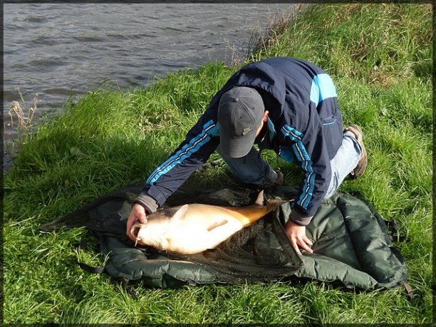 Shrap-Drakers.pl | Shrap Drakers Fishing | Wędkarstwo 