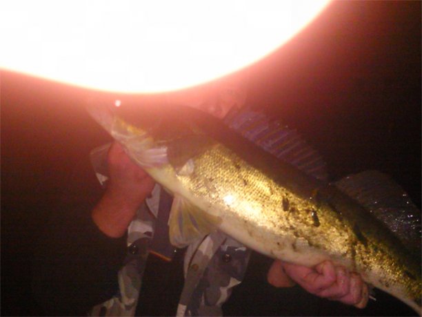 Shrap-Drakers.pl | Shrap Drakers Fishing | Wędkarstwo 