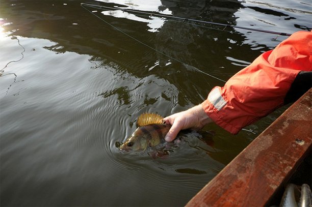 Shrap-Drakers.pl | Shrap Drakers Fishing | Wędkarstwo 