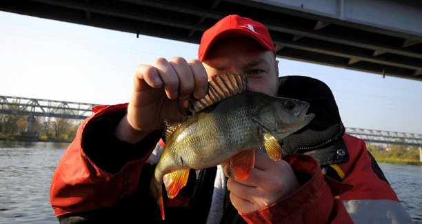 Shrap-Drakers.pl | Shrap Drakers Fishing | Wędkarstwo 