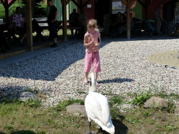 Shrap-Drakers.pl | Shrap Drakers Fishing | Wędkarstwo 