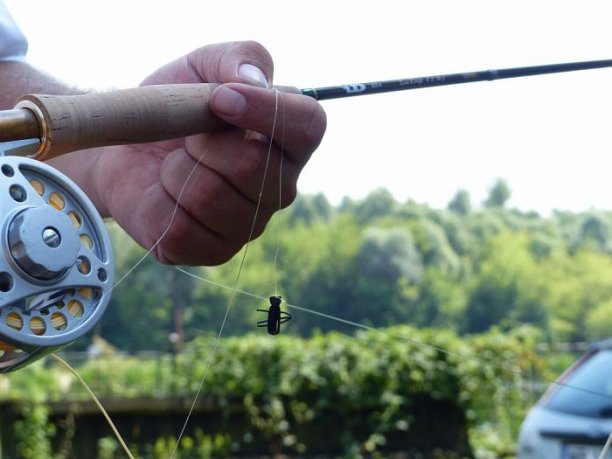 Shrap-Drakers.pl | Shrap Drakers Fishing | Wędkarstwo 