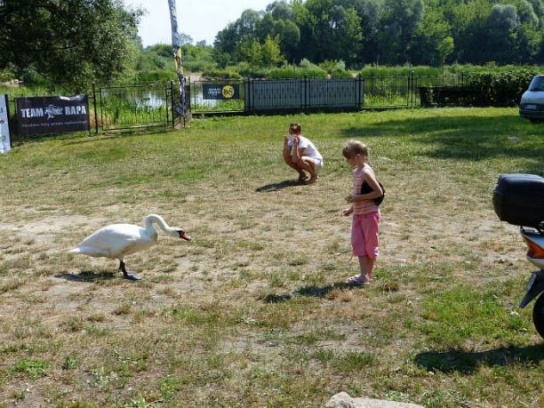 Shrap-Drakers.pl | Shrap Drakers Fishing | Wędkarstwo 