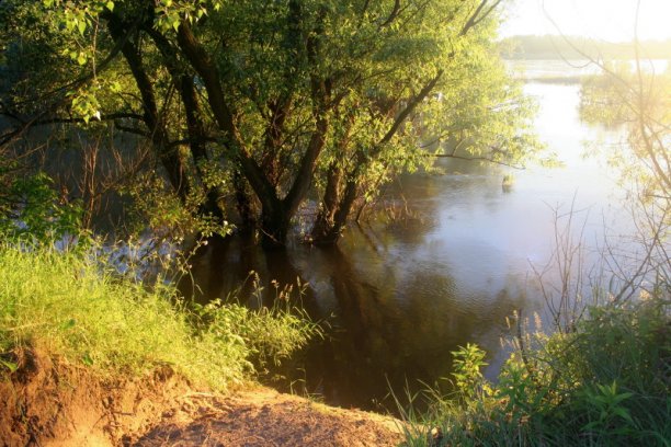 Shrap-Drakers.pl | Shrap Drakers Fishing | Wędkarstwo 