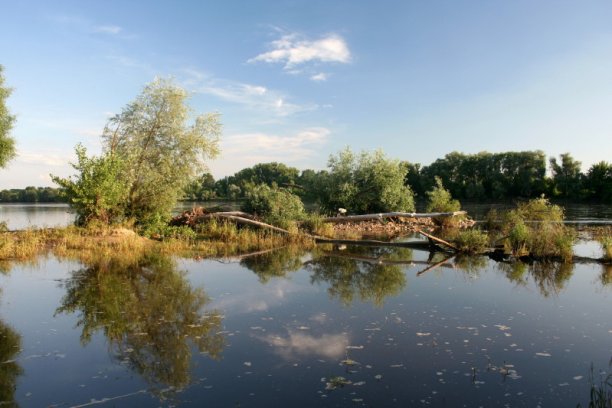 Shrap-Drakers.pl | Shrap Drakers Fishing | Wędkarstwo 
