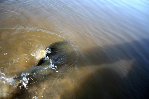 Shrap-Drakers.pl | Shrap Drakers Fishing | Wędkarstwo 