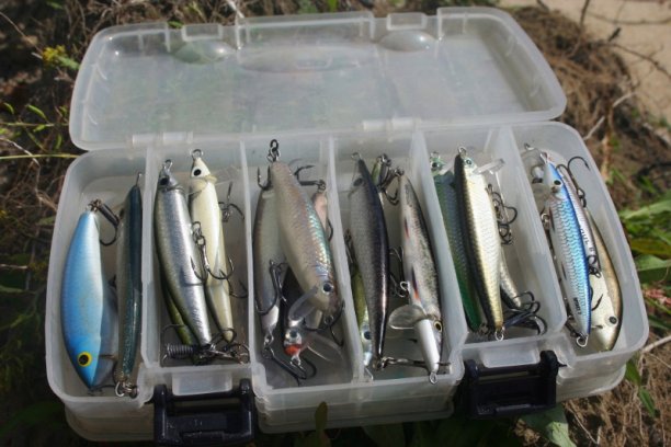 Shrap-Drakers.pl | Shrap Drakers Fishing | Wędkarstwo 