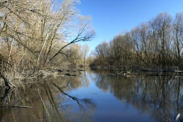 Shrap-Drakers.pl | Shrap Drakers Fishing | Wędkarstwo 