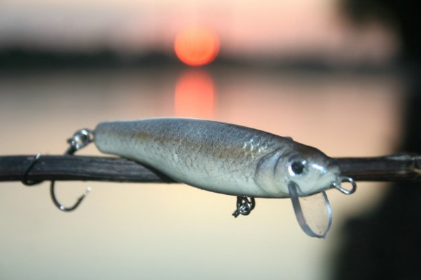 Shrap-Drakers.pl | Shrap Drakers Fishing | Wędkarstwo 