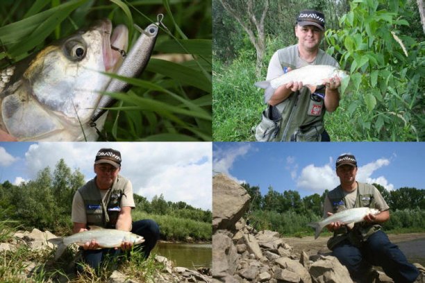 Shrap-Drakers.pl | Shrap Drakers Fishing | Wędkarstwo 