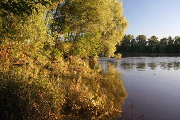 Shrap-Drakers.pl | Shrap Drakers Fishing | Wędkarstwo 