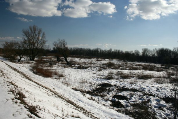 Shrap-Drakers.pl | Shrap Drakers Fishing | Wędkarstwo 