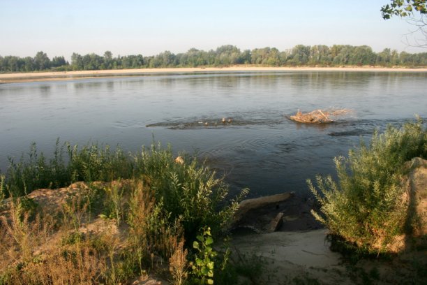 Shrap-Drakers.pl | Shrap Drakers Fishing | Wędkarstwo 