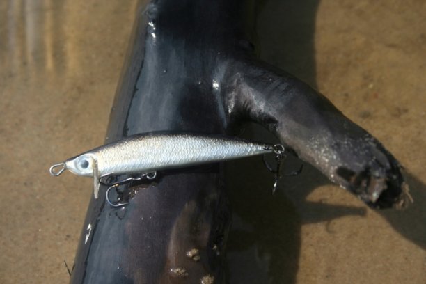 Shrap-Drakers.pl | Shrap Drakers Fishing | Wędkarstwo 