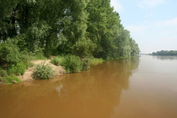 Shrap-Drakers.pl | Shrap Drakers Fishing | Wędkarstwo 