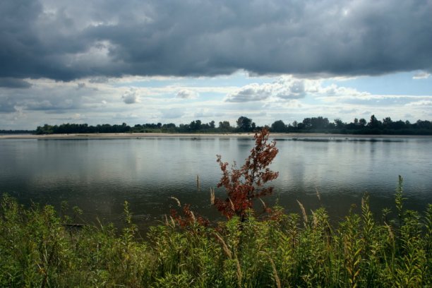 Shrap-Drakers.pl | Shrap Drakers Fishing | Wędkarstwo 