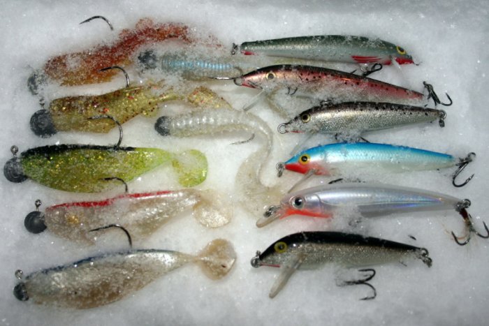 Shrap-Drakers.pl | Shrap Drakers Fishing | Wędkarstwo 