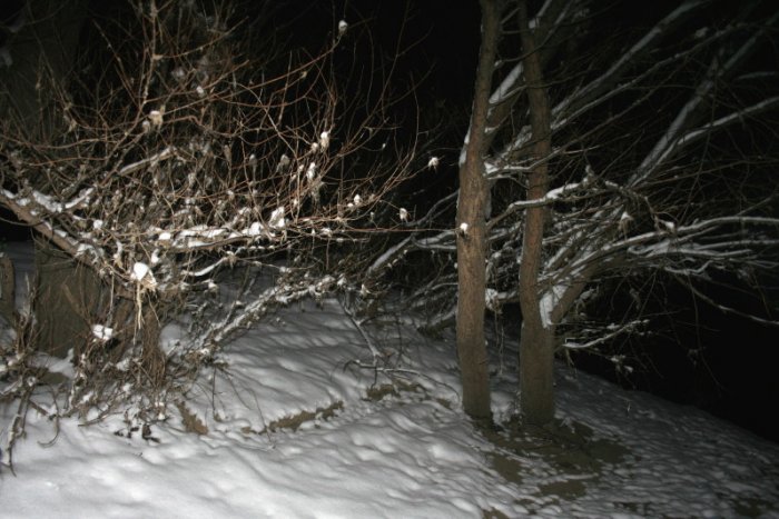 Shrap-Drakers.pl | Shrap Drakers Fishing | Wędkarstwo 