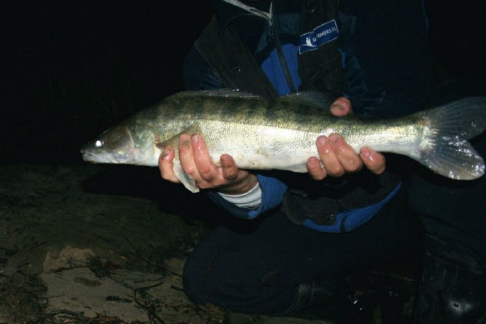 Shrap-Drakers.pl | Shrap Drakers Fishing | Wędkarstwo 