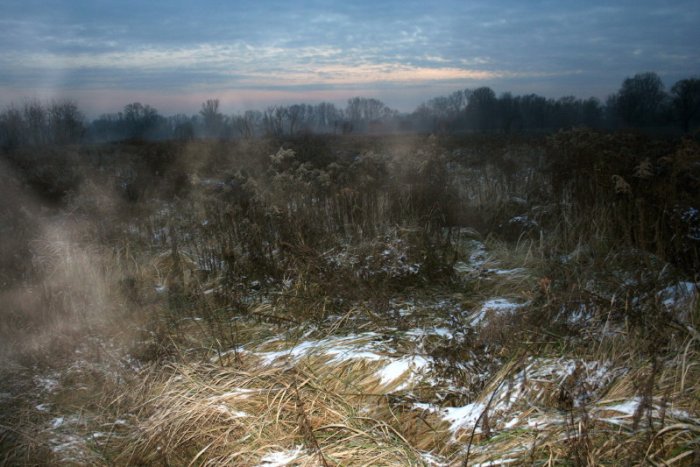 Shrap-Drakers.pl | Shrap Drakers Fishing | Wędkarstwo 