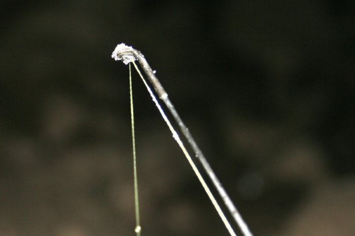 Shrap-Drakers.pl | Shrap Drakers Fishing | Wędkarstwo 