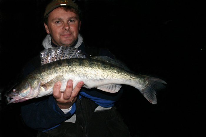 W pogoni za sandaczem