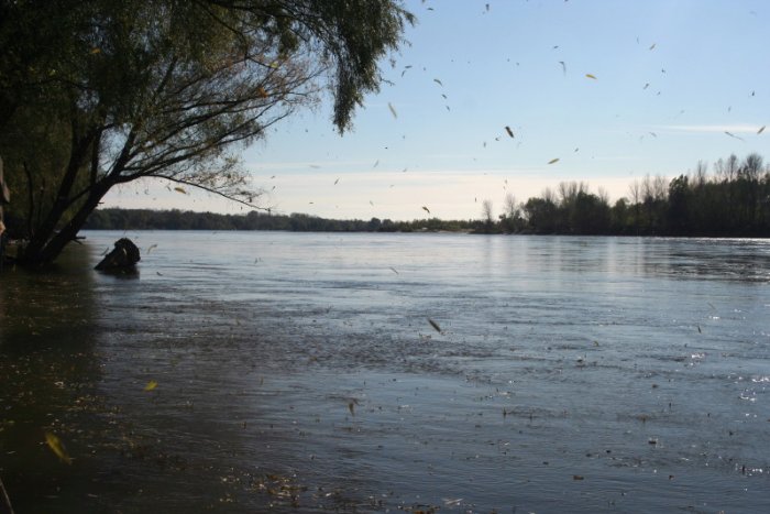 Shrap-Drakers.pl | Shrap Drakers Fishing | Wędkarstwo 