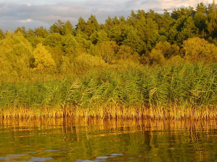 Shrap-Drakers.pl | Shrap Drakers Fishing | Wędkarstwo 